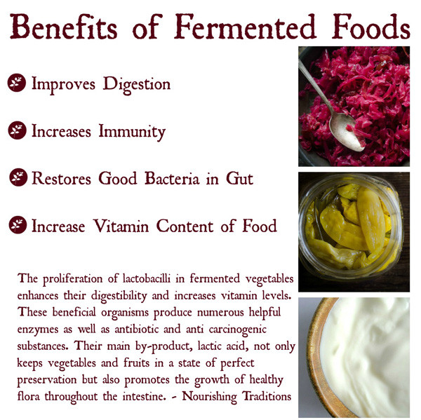 Health Benefits Of Fermented Foods Seattle Urban Nature Project